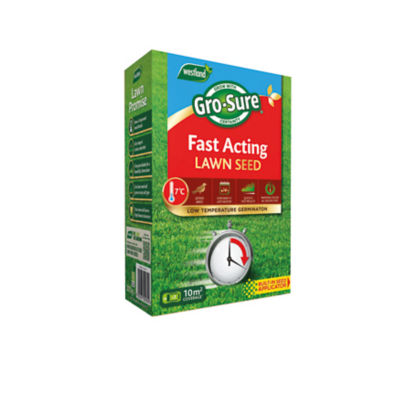 Fast Acting Lawn Seed 300g thumbnail 2