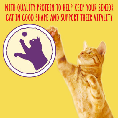 Senior Chicken and Turkey Dry Cat Food 750g thumbnail 4