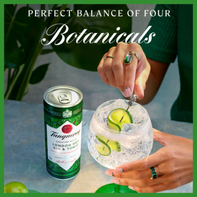 London Dry Gin and Tonic 6.5% vol 250ml Premix thumbnail 4