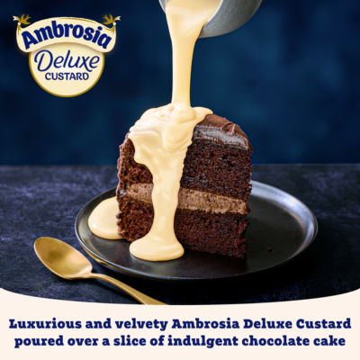 Deluxe Custard Dessert Can 400g thumbnail 4
