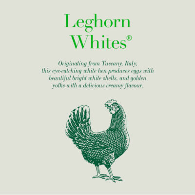 6 Traditional Leghorn Whites Assorted Sizes Free Range Eggs thumbnail 3