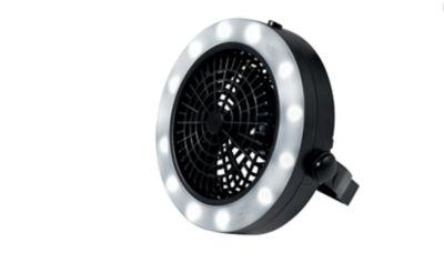 Fan and Light