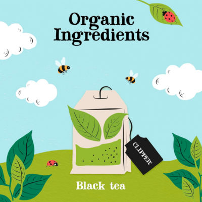Organic  Everyday Tea 160 Tea Bags 464g thumbnail 4