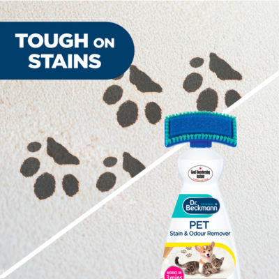 Pet Stain & Odour Remover 650ml thumbnail 4