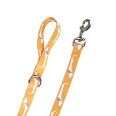 Dog Lead