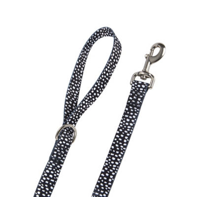 Dog Lead