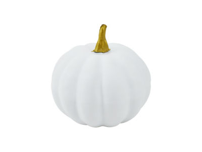 Halloween Mini Pumpkin