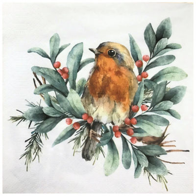 Home Compostable Robin Napkins