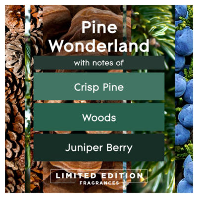 Large Automatic Air Freshener Refill Pine Wonderland thumbnail 3
