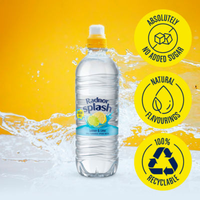 Lemon & Lime Still Flavoured Spring Water 6 x 500ml thumbnail 3