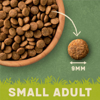 Rich in Turkey & Rice Small Adult Dog Food 1kg thumbnail 4