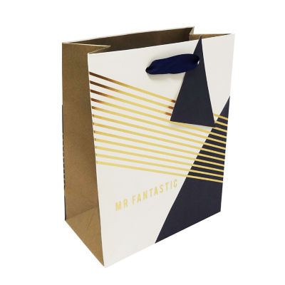 Mr Fantastic Small Gift Bag thumbnail 2