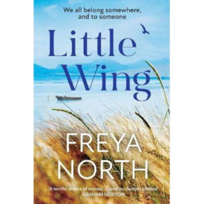 Little Wing - Freya North