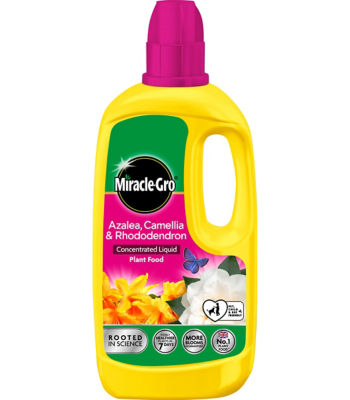 Miracle Gro Azalea Camelia & Rhododendron Plant Food 800Ml