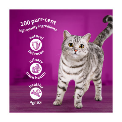 Senior 7+ POULTRY Feasts Wet Cat Food Pouches in Jelly 40 x 85g thumbnail 3