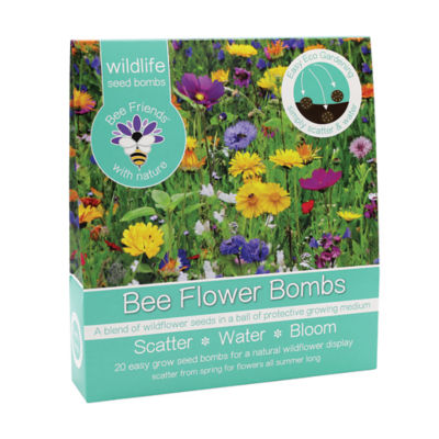 Bee Seed Bombs