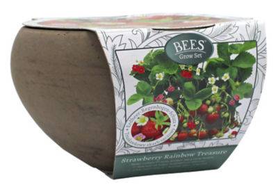 Strawberry Bowl Gift Set