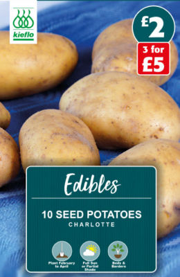 Charlotte Potatoe Seed thumbnail 2