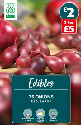Red Baron Onion Seeds