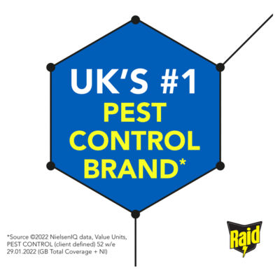 Wasp, Mosquito & Fly Killer with Eucalyptus Aroma Oil Aerosol Spray 300ml thumbnail 3