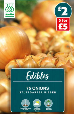 Stuttgarter Riesen Onion Seeds
