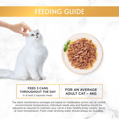 Gold Succulent Delights Salmon Wet Cat Food 85g thumbnail 4