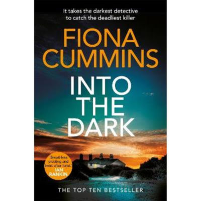 Into the Dark - Fiona Cummins