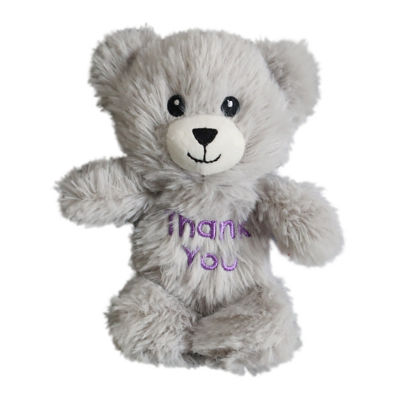 Thank You Teacher Bear Plush