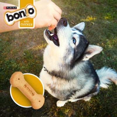 Chicken Dog Biscuits 650g thumbnail 3
