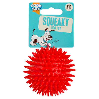 Squeaky Dog Toy