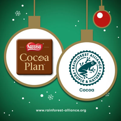 Winter Fondants Dark Mint Chocolate Bag 57g thumbnail 3
