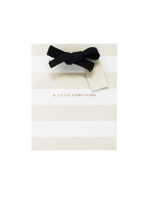 Premium Little Something Stripe Small Portrait Bag