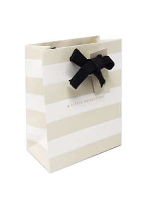 Premium Little Something Stripe Small Portrait Bag thumbnail 3