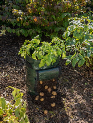 Potato Grow Bag 50L 45x32cm thumbnail 2