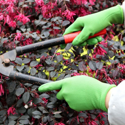 Large Garden Smooth Gloves thumbnail 3