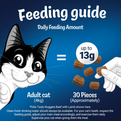 Tasty Nuggets Chicken & Duck Cat Treats 50g thumbnail 4