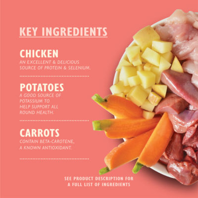 Puppy Recipe with Chicken and Salmon Oil Wet Dog Food 150g thumbnail 3
