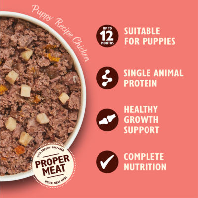 Puppy Recipe with Chicken and Salmon Oil Wet Dog Food 150g thumbnail 4