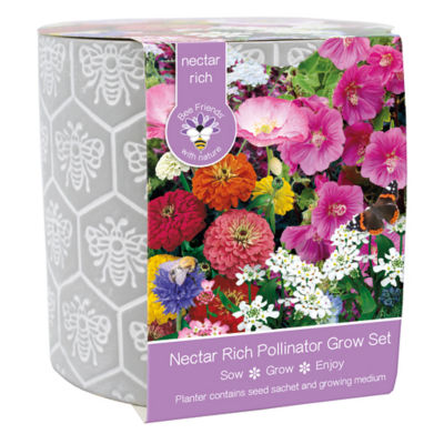 Butterfly Gift Pot 17Cm