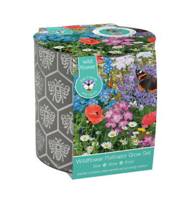 Bee Patterned Ceramic Pot Grow Set 13cm thumbnail 2