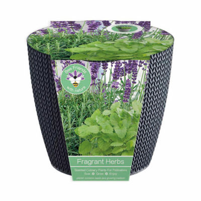 Scented Herb Gift Set 19cm