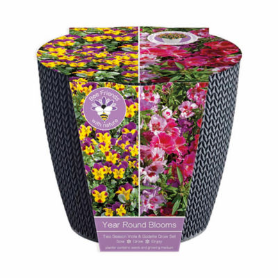 Two Season Grow Set 19cm thumbnail 2