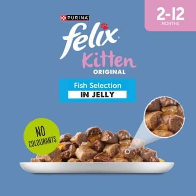 Original Kitten Fish Selection in Jelly Wet Cat Food 12x85g thumbnail 3