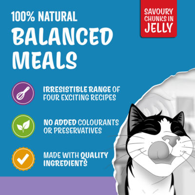 Original Mixed Selection in Jelly Wet Cat Food 12x85g thumbnail 4