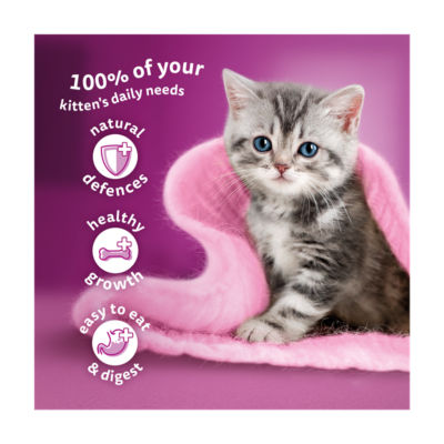 Kitten 2-12 mnths POULTRY Feasts Wet Cat Food Pouches in Jelly 40 x 85g thumbnail 3