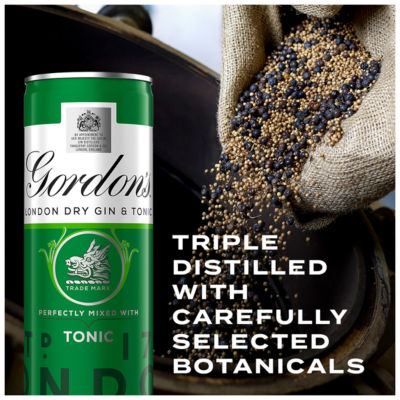 London Dry Gin & Tonic Ready To Drink 5% vol 6x250ml Cans thumbnail 4