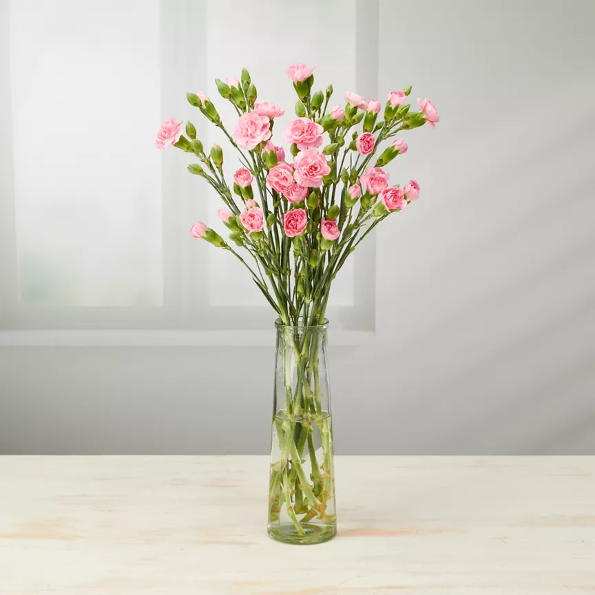 ASDA Traditional Spray Carnations