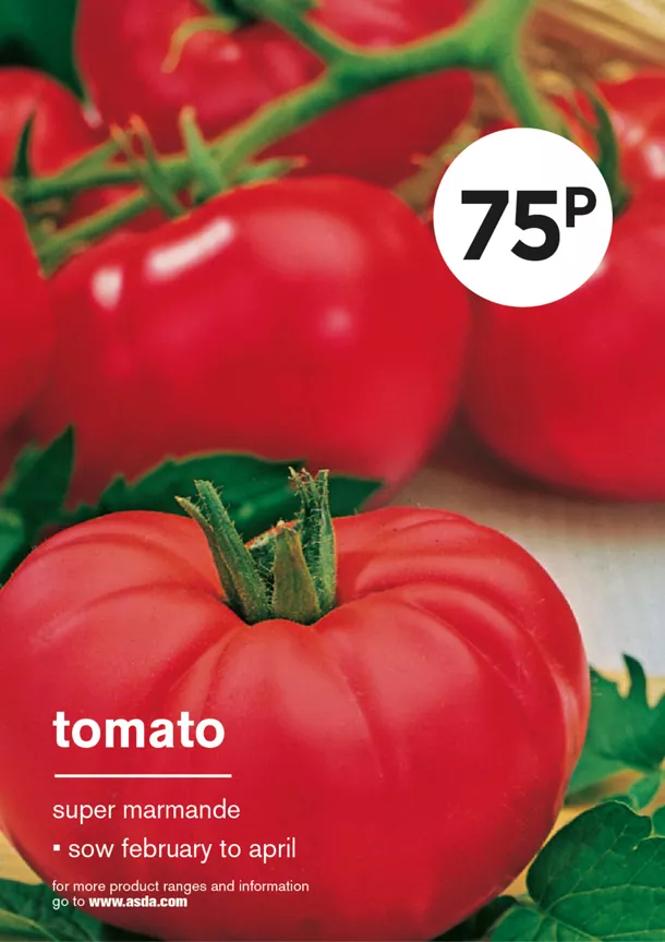 ASDA Grow Your Own Tomato Marmande Vegetable Seeds