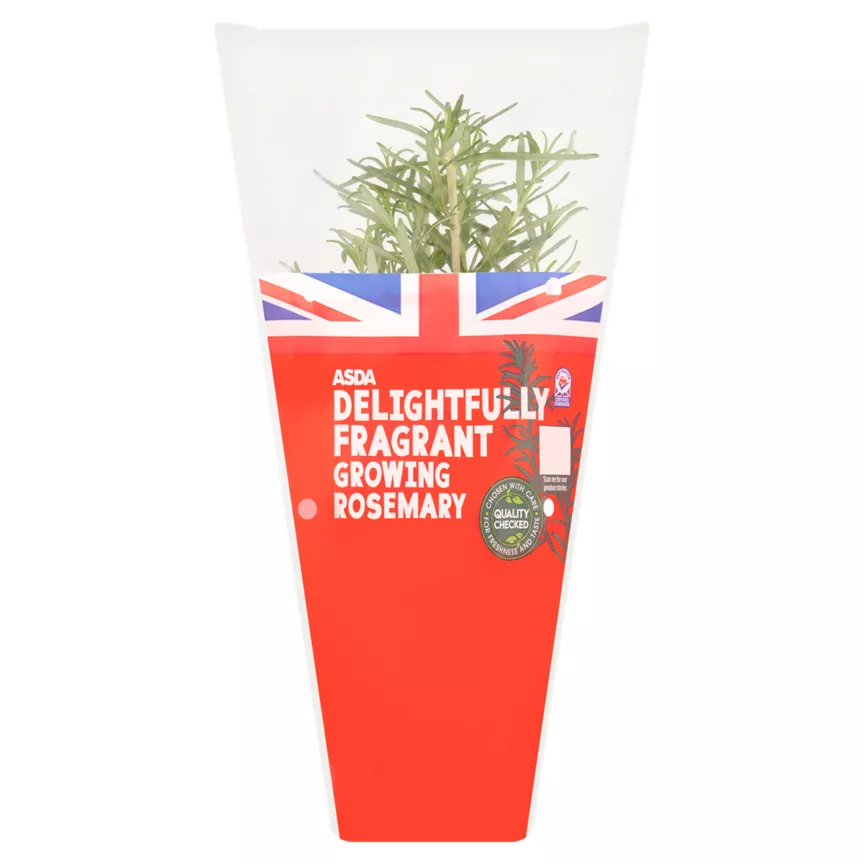 ASDA Delightfully Fragrant Growing Rosemary