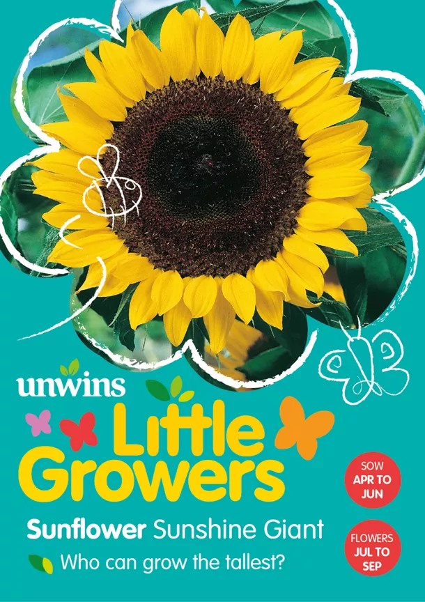 Unwins Sunflower Sunshine Giant Flower Seeds